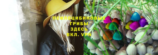 хмурый Семилуки