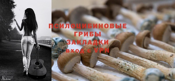хмурый Семилуки