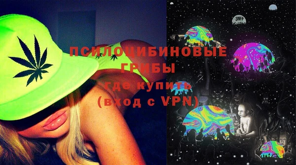 хмурый Семилуки