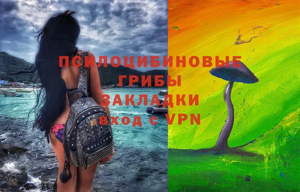 ALPHA PVP Семёнов