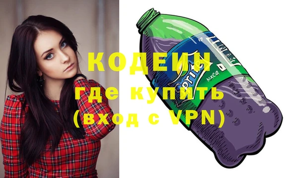 хмурый Семилуки