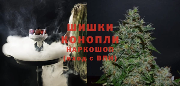 индика Слюдянка