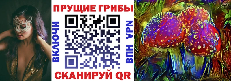 Купить закладки  Янаул  Галлюциногенные грибы мицелий 